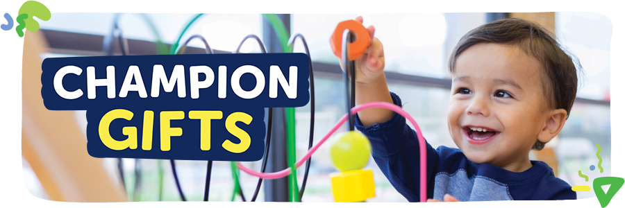 Barnardos Champion Gifts Smiles and Toys for One Child